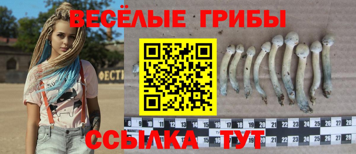 как найти наркотики  Вход с VPN  Уварово  Галлюциногенные грибы мухоморы 