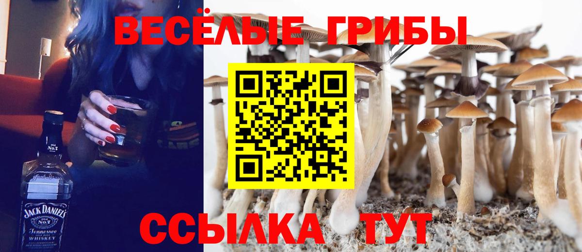 Псилоцибиновые грибы Magic Shrooms Уварово